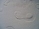 Ostseestrand
Unsere Fu&szlig;spuren sind im Sand zu sehen, aber das feine &Ouml;kosystem ist am Strand nicht immer zu erkennen.<br />
Küste - Strand, Küstenlandschaft, Tourismus, Öffentlicher Bereich/Strand
Elke Mutsch
